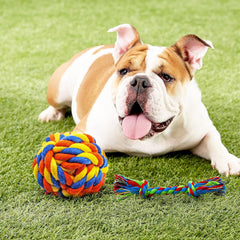 Dog Chew Toys for Puppies Teething, 14 Pack Puppy Chew Toys Tug of War Dog Toy Bundle Chew Ball Dog Squeaky Toys Iq Treat Ball Rubber Bone Puppy Teething Chew Toys Small Dog Puppy Toys