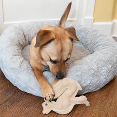 Dura-Fused Leather Fox Dog Toy, Squeaky Interactive Chew Toy for Moderate Chewers, Soft, Stuffed, Double-Stitched & Durable Fetch Toy for Small & Medium Dogs, 7.5In