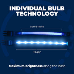 Light up Dog Collar - the Original LED Dog Collar - USB Rechargeable - Waterproof - 1,000 Feet of Visibility - Dog Collar Light for Small, Medium, Large Dogs - US Brand